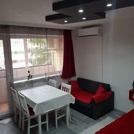Silver Apartament *